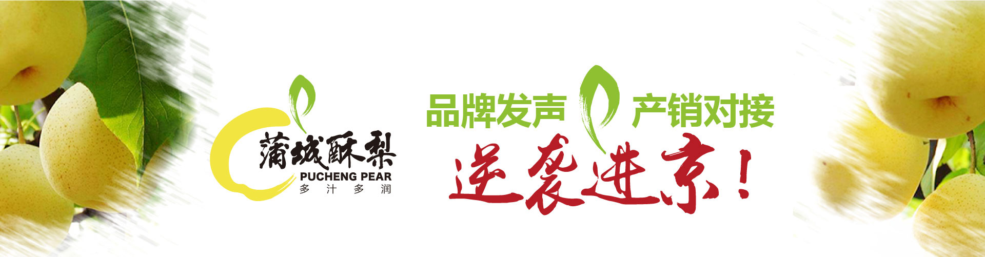 戰(zhàn)略賦能區(qū)域公用品牌，點亮區(qū)域經(jīng)濟